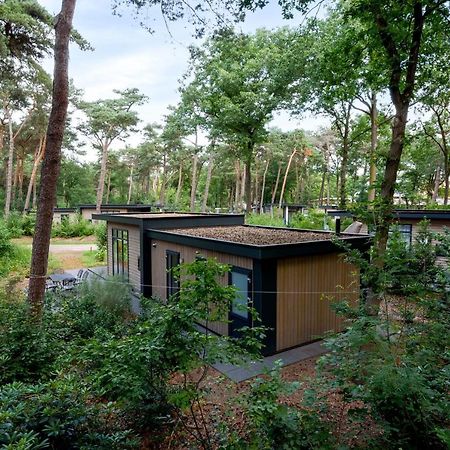 Forestlodge In Het Vechtdal - 5 Persoons ฮาร์เดนแบร์ก ภายนอก รูปภาพ